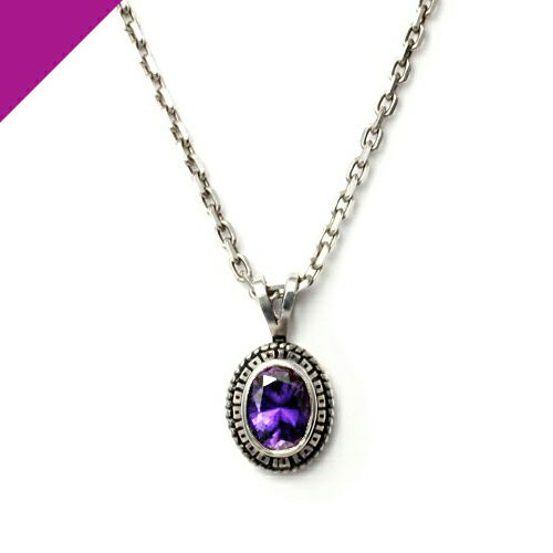 【ジャムホームメイド（JAMHOMEMADE）】2月 誕生石 0010 ハイブリッド カレッジリング ネックレス
