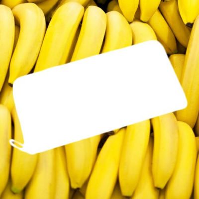 イエローインサイドラウンドファスナー長財布/ロングウォレットの写真