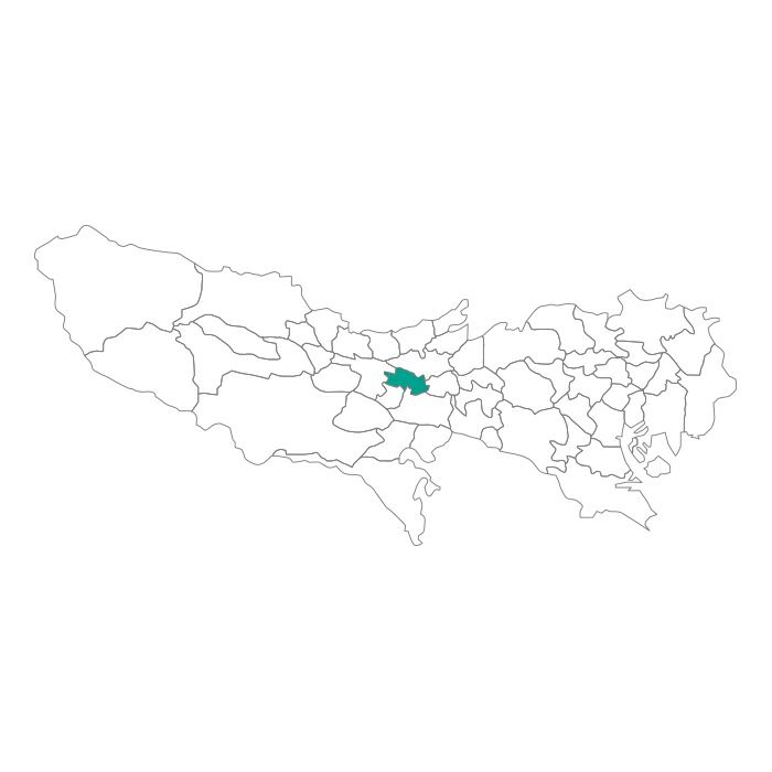 【ジャムホームメイド（JAMHOMEMADE）】日本地図  東京都  国分寺市 ネックレス