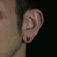 ジョジョの奇妙な冒険 ダイヤモンドは砕けない』黄金の風